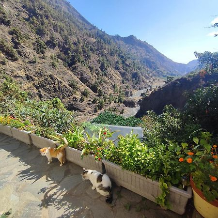 Rivendell Eco Lodge El Paso Dış mekan fotoğraf