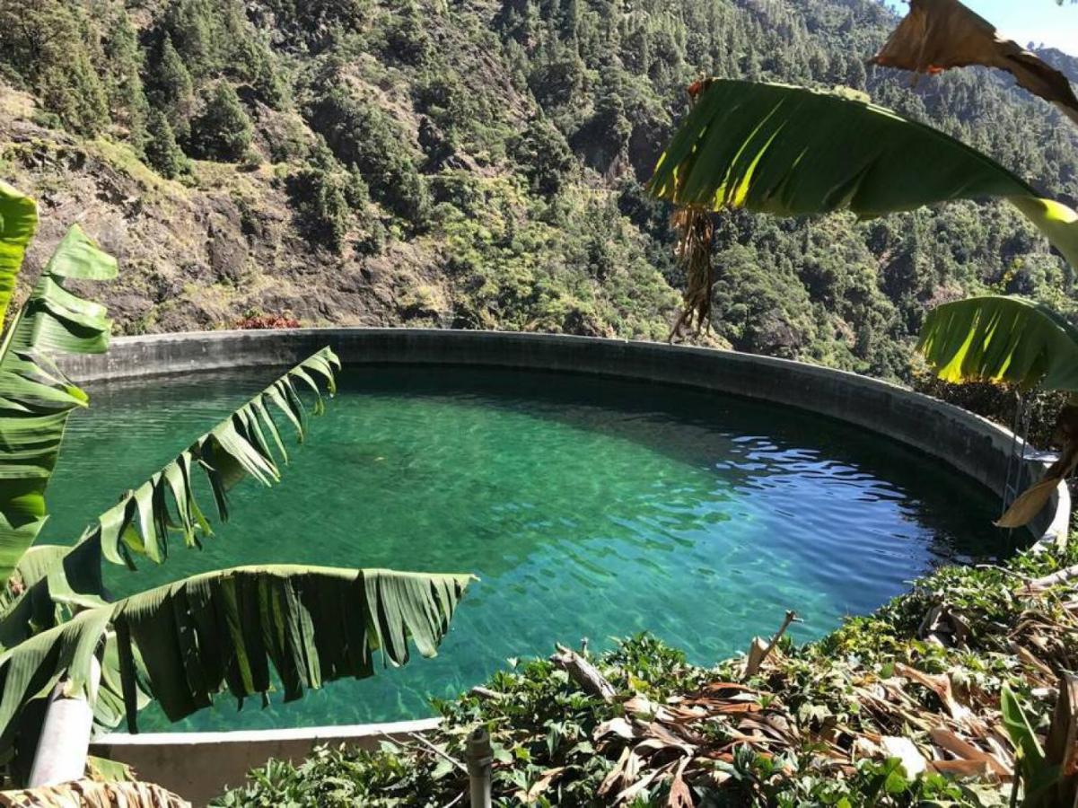 Rivendell Eco Lodge El Paso Dış mekan fotoğraf