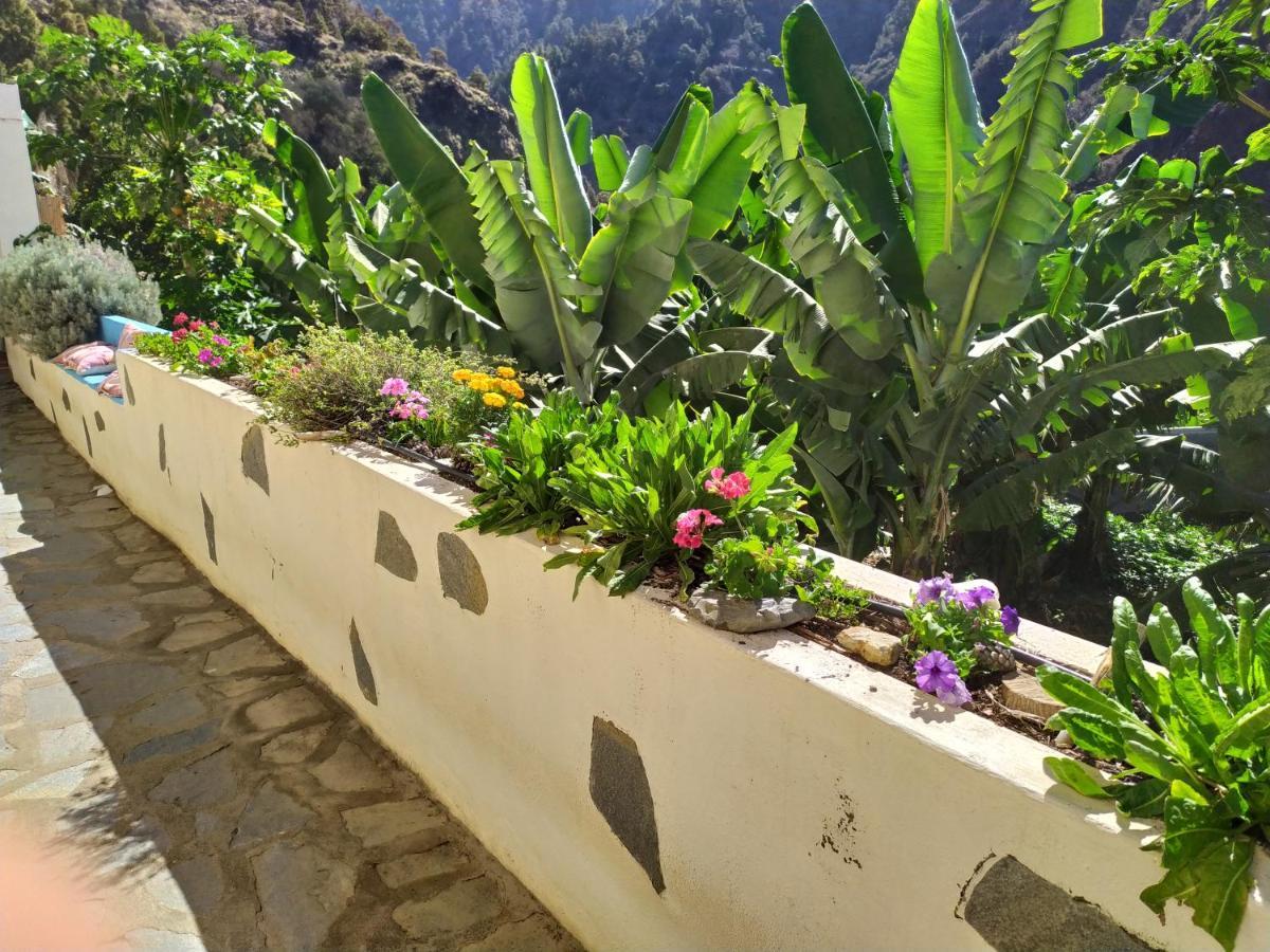 Rivendell Eco Lodge El Paso Dış mekan fotoğraf