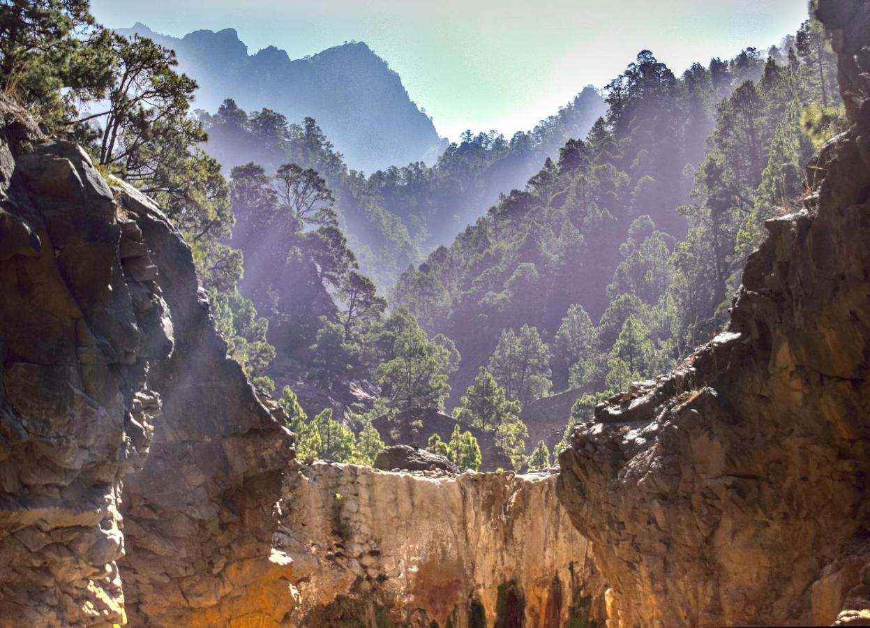 Rivendell Eco Lodge El Paso Dış mekan fotoğraf