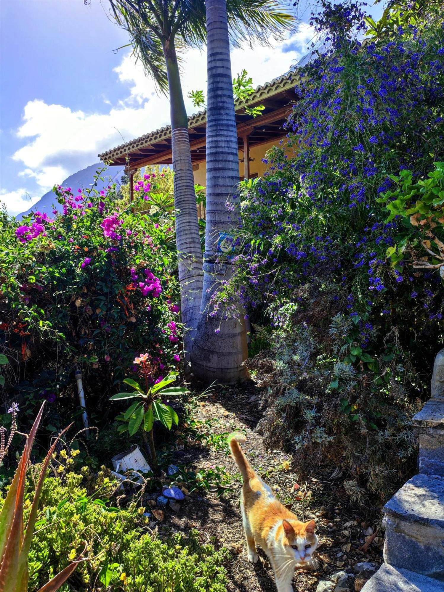 Rivendell Eco Lodge El Paso Dış mekan fotoğraf