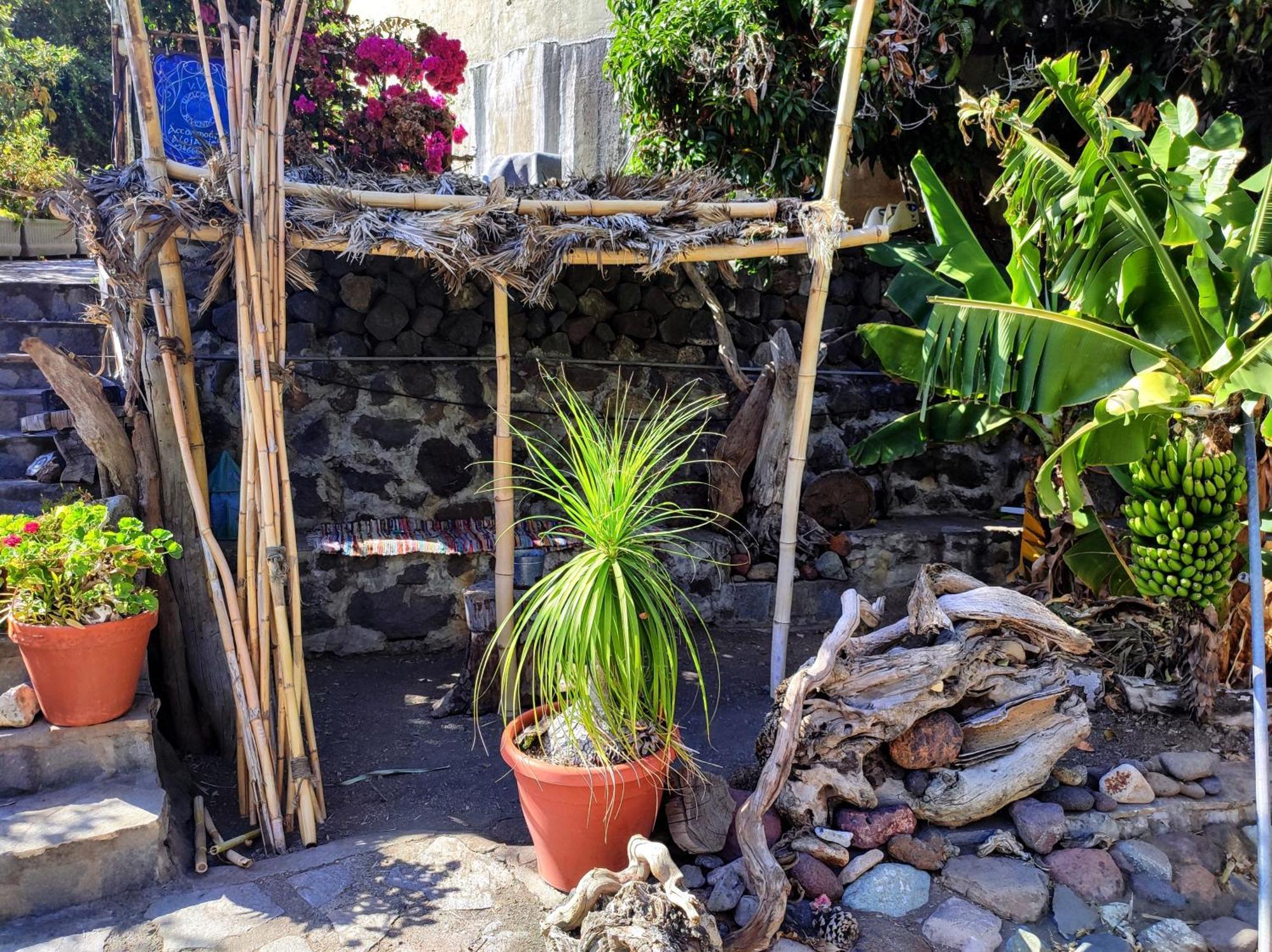 Rivendell Eco Lodge El Paso Dış mekan fotoğraf