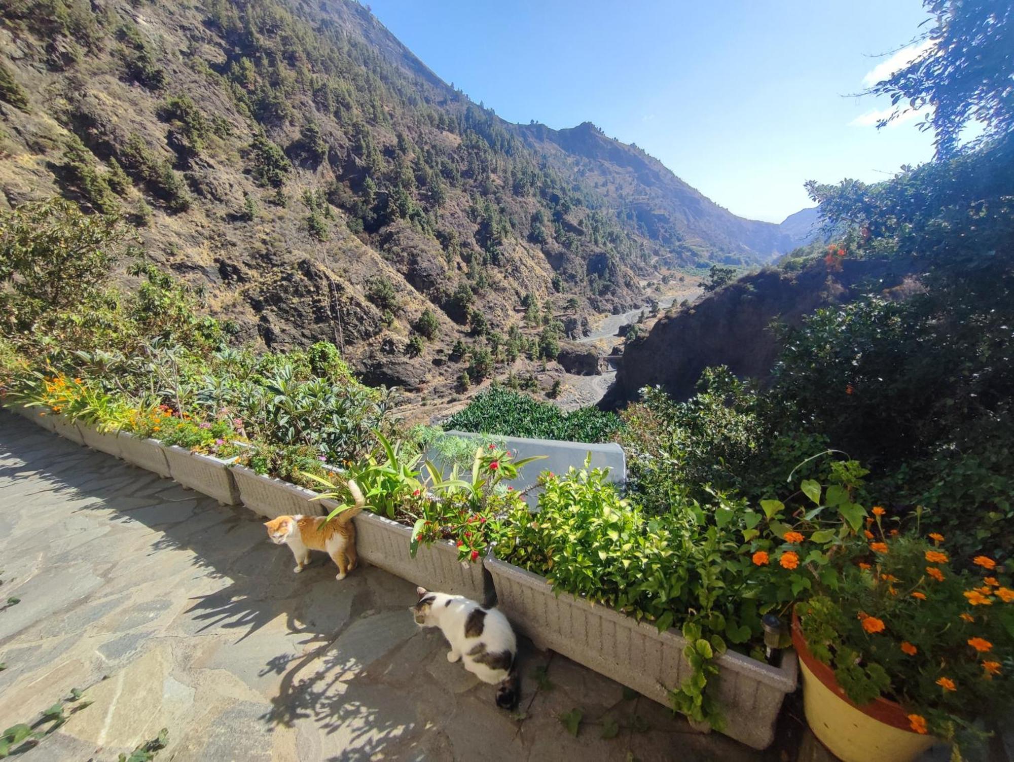 Rivendell Eco Lodge El Paso Dış mekan fotoğraf